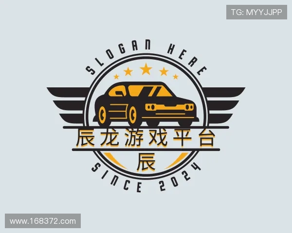 关于辰龙游戏平台